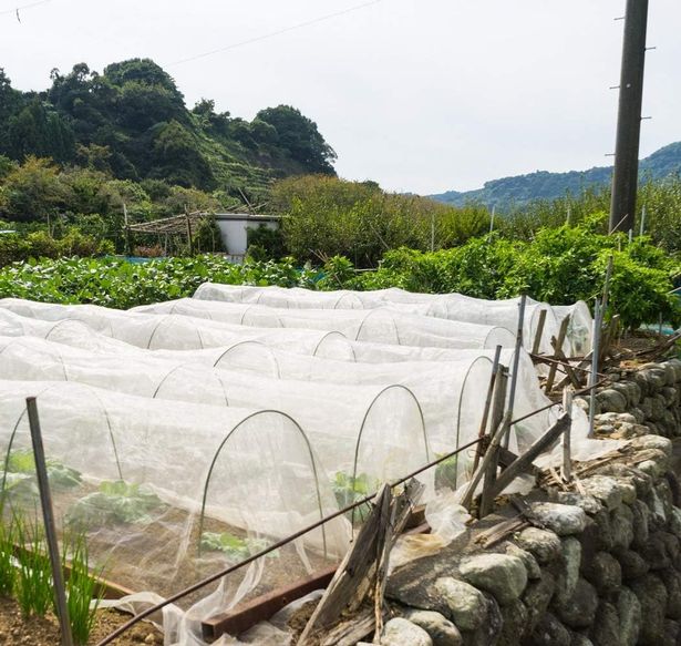 Garden Insect Netting Fine Mesh