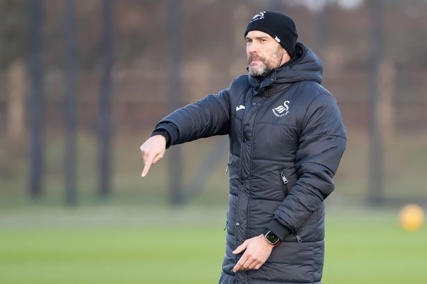 Luke Williams was in charge at Swansea at the start of the year