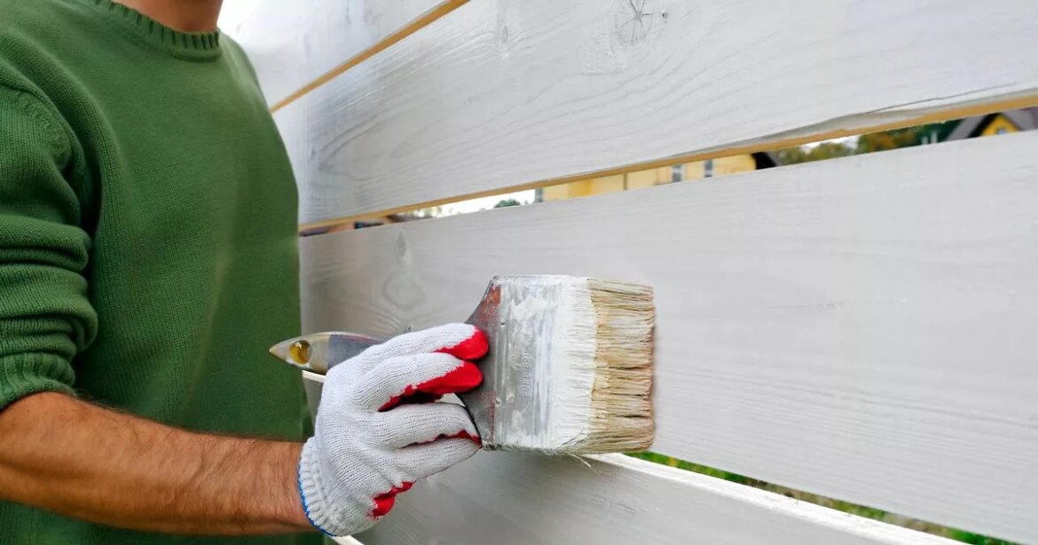 One letter symbol every gardener must check before painting their fence Ipso logo