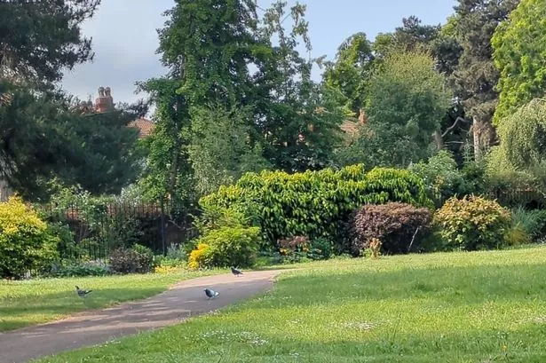 Page Park Sensory Garden in Staple Hill near Bristol