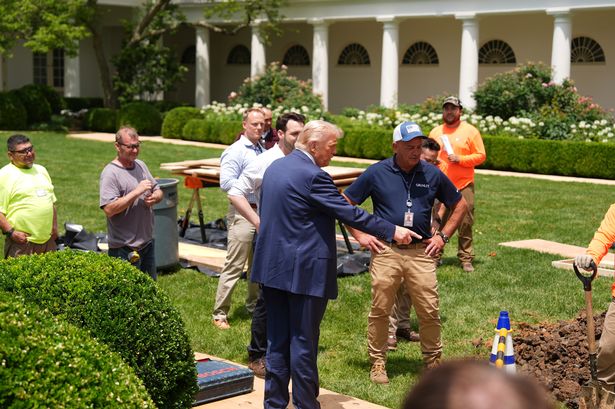 President Donald Trump looks over a construction project in the Rose Garden of the White House, after his arrival, Monday, June 9, 2025, in Washington. (AP Photo/Evan Vucci)
