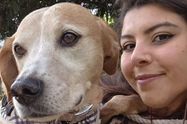 I took my dog, Suki, for one last walk around Trentham Garden Centre before it closes its doors to dogs on June 30 2025.