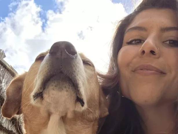 I took my dog, Suki, for one last walk around Trentham Garden Centre before it closes its doors to dogs on June 30 2025.
