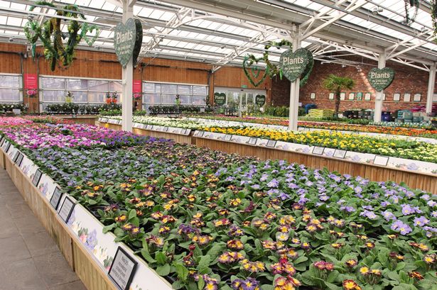 Barton Grange Garden Centre