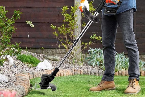 SMILOVII 24V Cordless Strimmer