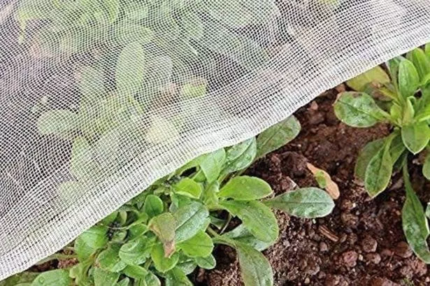 Garden Insect Netting Fine Mesh