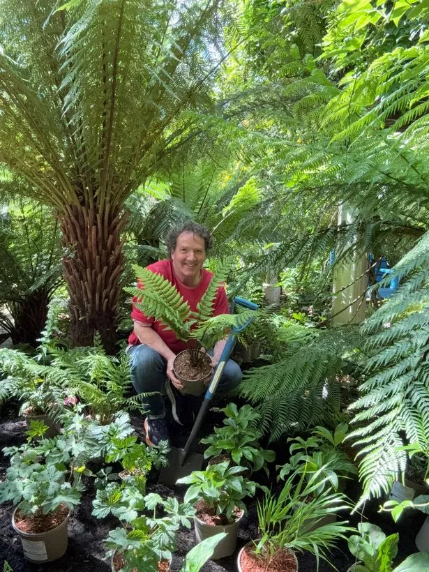 Diarmuid Gavin surrounded by ferns