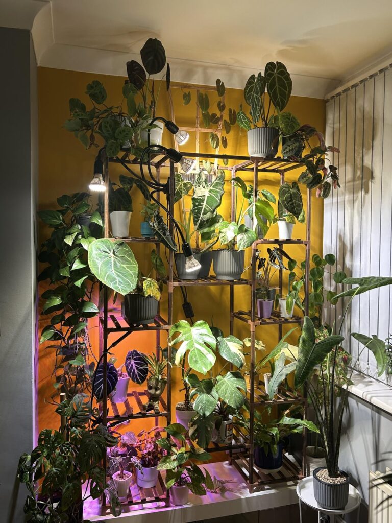 Check out my new plant stand!