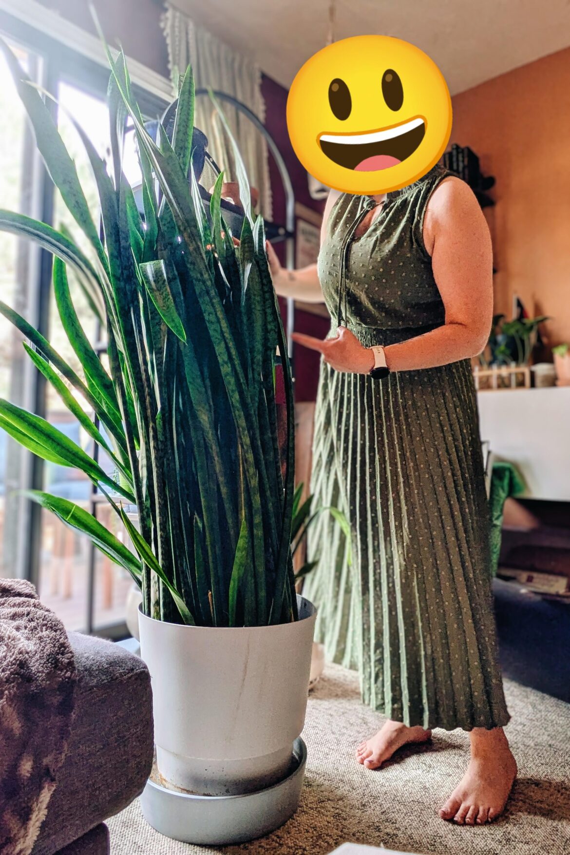 I bought this plant on FB marketplace for $10!