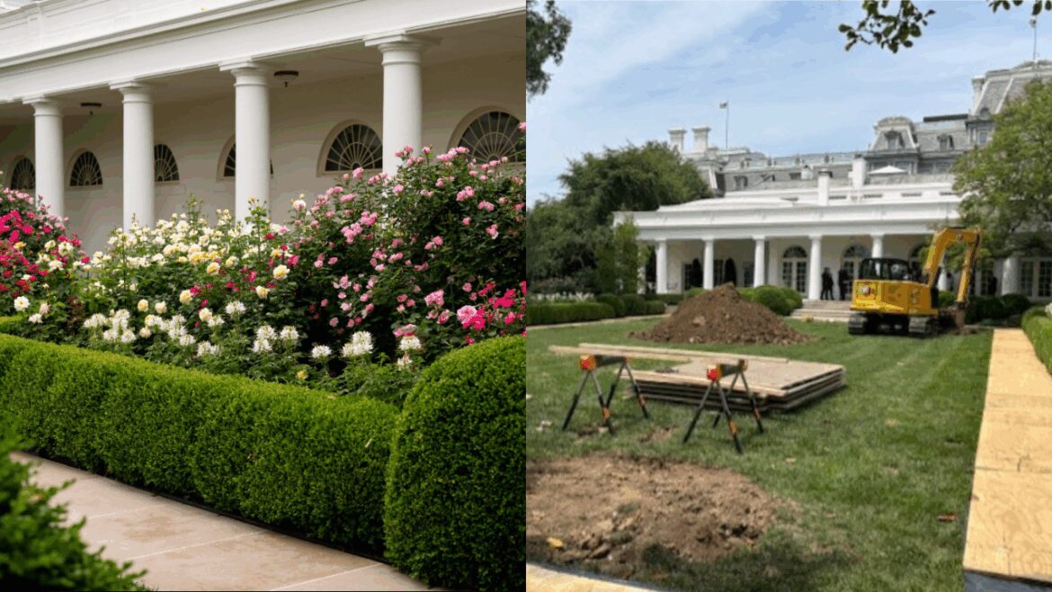 Trump Bulldozes White House Rose Garden Lawn For Flagpole Project, Eyes $100M Ballroom Times Now