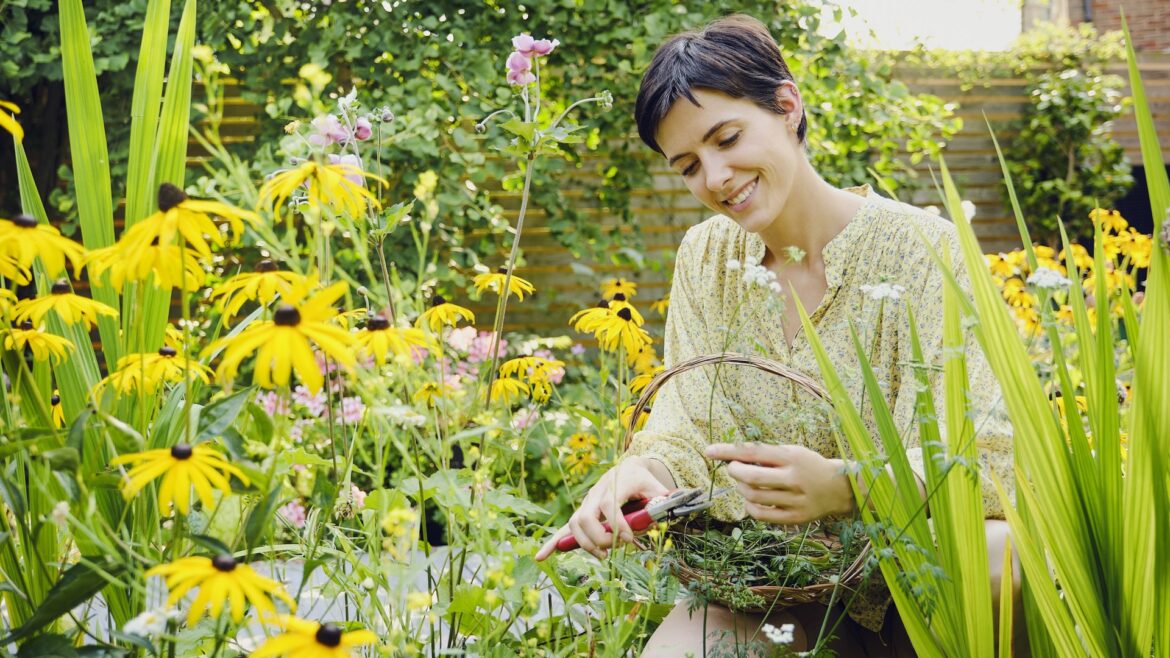 I’m a Gardening pro – do these 6 tasks this weekend to fill your outside space with colour plus the time to water plants I'm a Gardening pro - do these 6 tasks this weekend to fill your outside space with colour plus the time to water plants