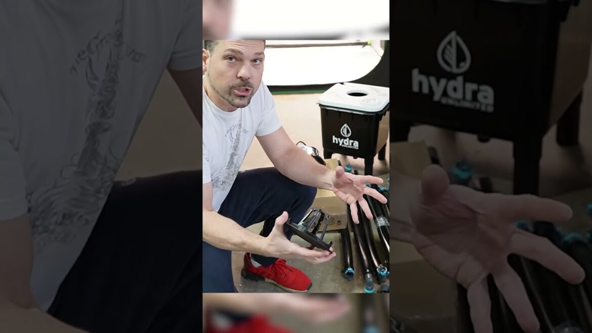 Ditch Net Pots! Hydra Unlimited’s Root Halo Innovation Ditch Net Pots! Hydra Unlimited’s Root Halo Innovation