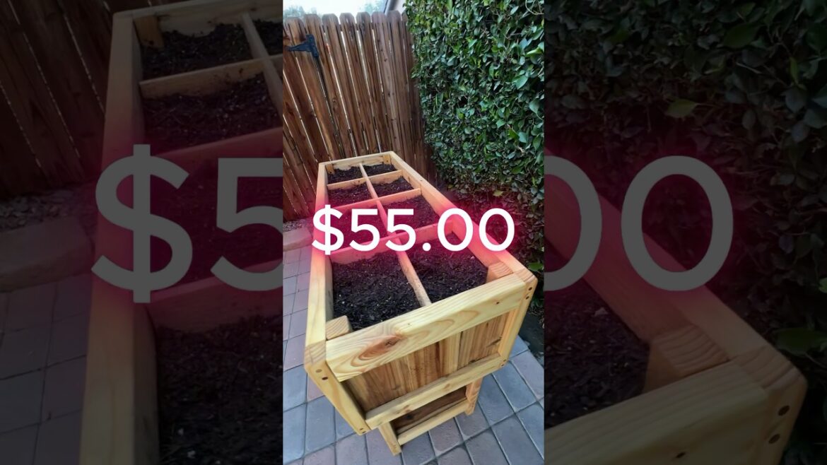 BUILD A RAISED BED PLANTER BOX FOR CHEAP!