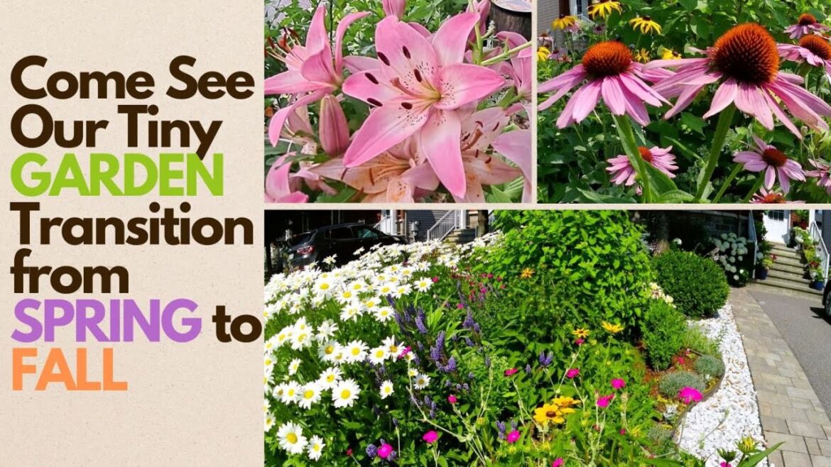 TINY GARDEN TRANSITION FROM SPRING TO FALL | FRONT YARD GARDEN FLOWERS WITH NAMES #garden #flowers