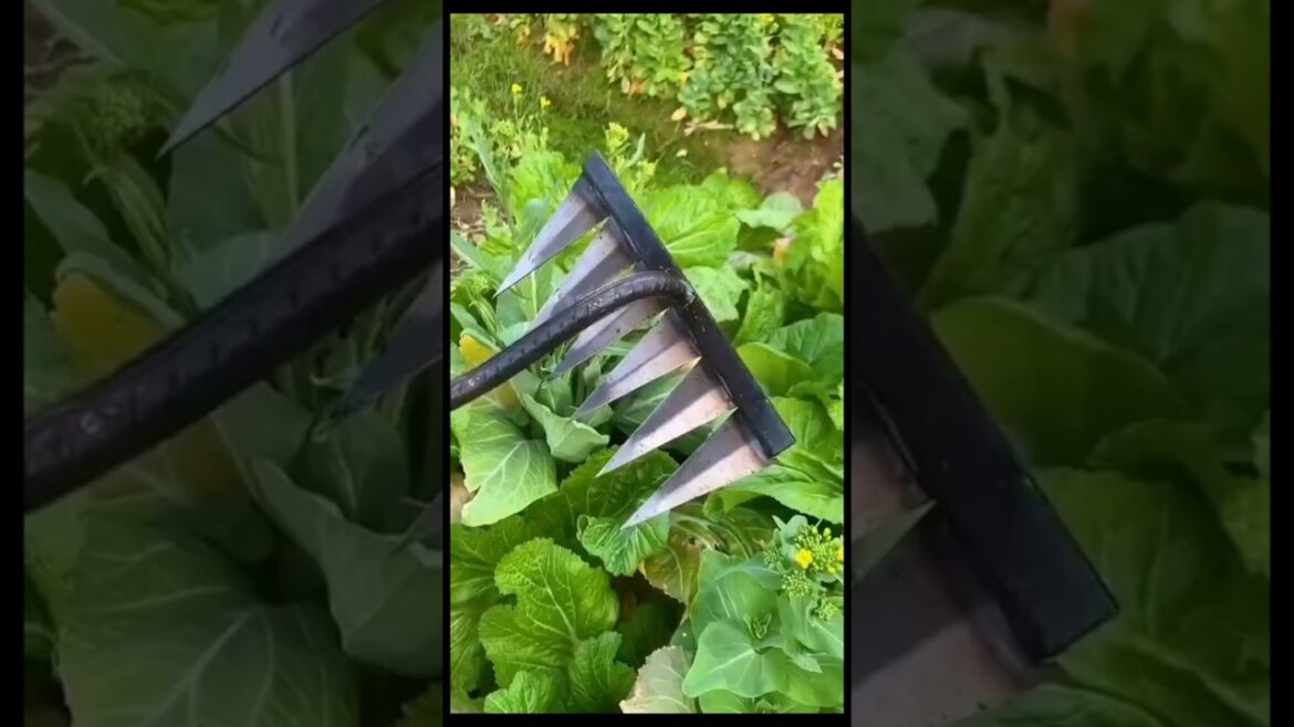Smart Gardening Tools. #shorts #shortvideo #short #shortsfeed