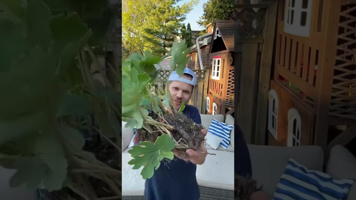 A Heartwarming Garden Story | How Gardeners Share Love | Plants & Passion.