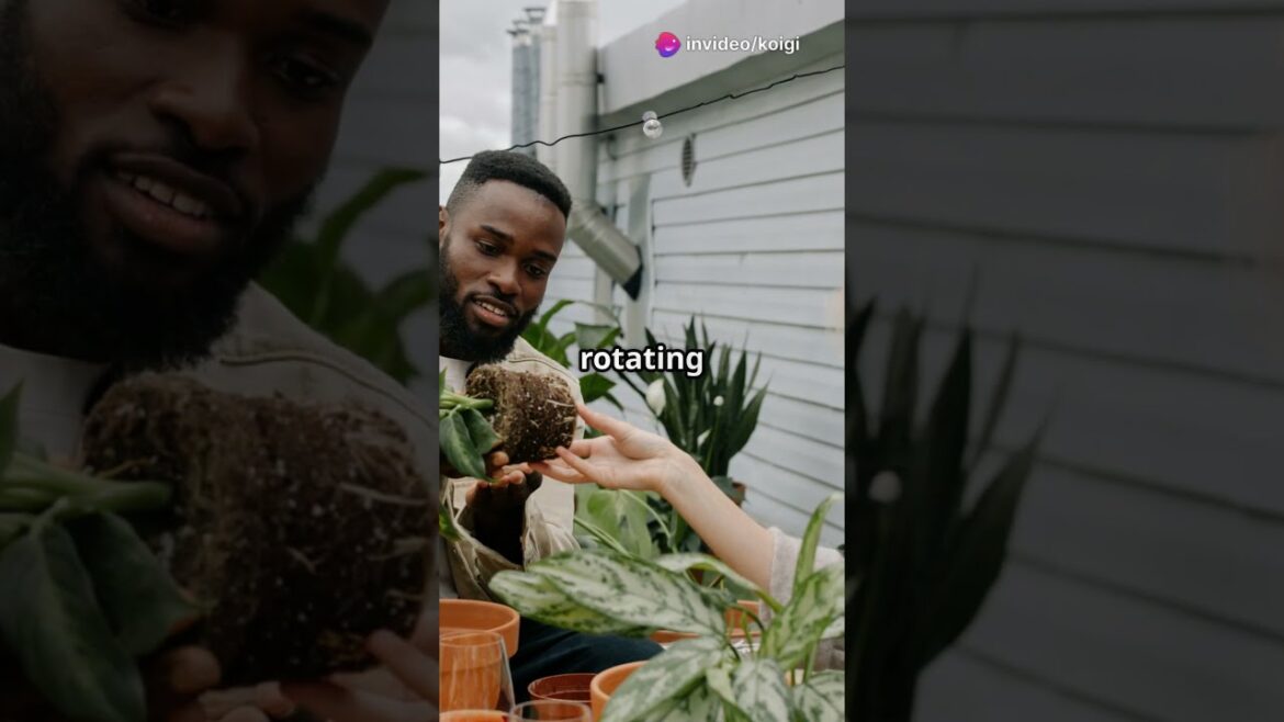 🥬 Never Run Out of Veggies with Succession Planting #SuccessionPlanting #GrowAllSeason #GardenPlans