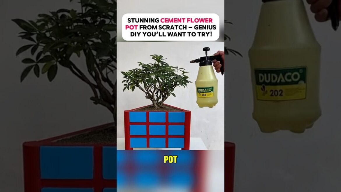 Pro gardening tips for you!