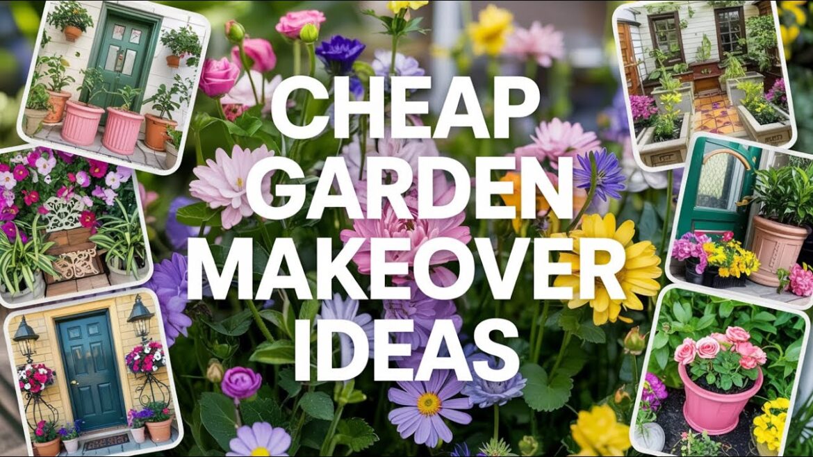 BUDGET GARDEN MAKEOVER SECRETS: 🌿 Stunning Cheap Garden Makeover Ideas on a Budget To Try Today!