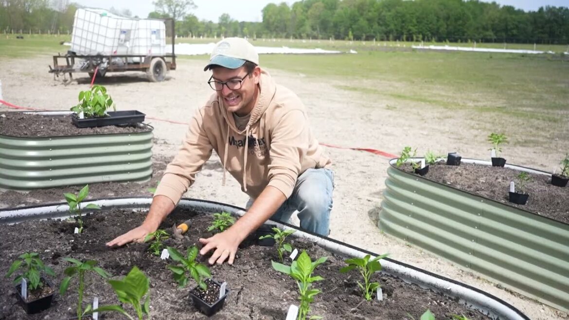 MIgardener: What We are Planting in JUNE! (We’re So Behind This Year!) What We are Planting in JUNE! (We're So Behind This Year!)