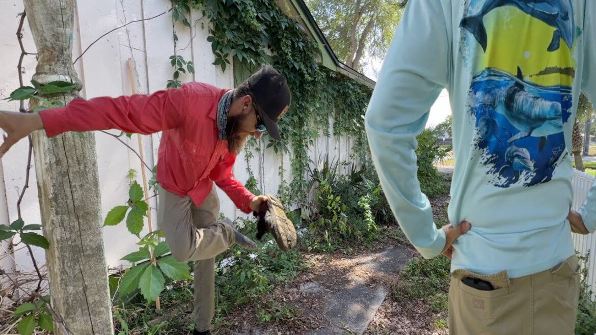 This Overgrown Yard Was Bad…But Was the Neighbor a Jerk or Just Fed Up?