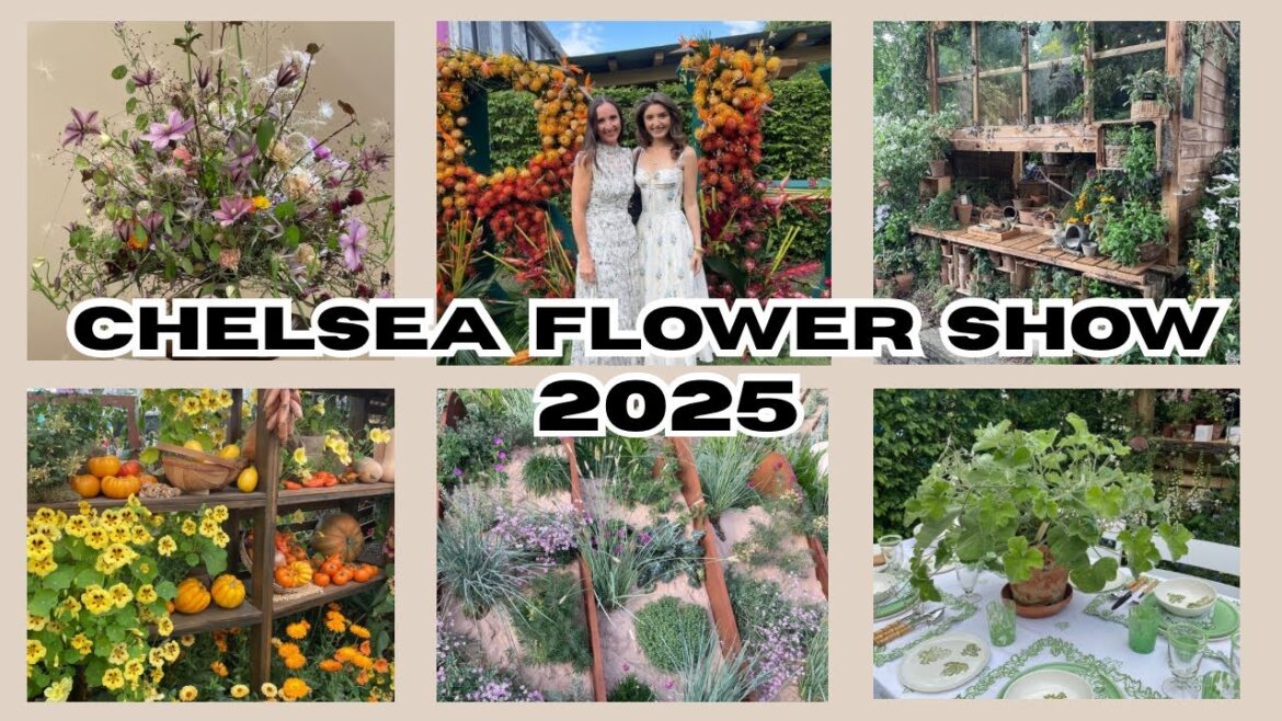 🌸 What We Loved at Chelsea Flower Show 2025 | Best Garden Designer Ideas!