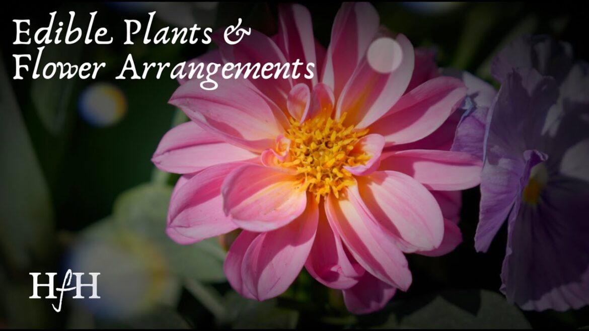 Edible Plants & Flower Arrangements | Creative Ideas for Your Spring Garden Edible Plants & Flower Arrangements | Creative Ideas for Your Spring Garden