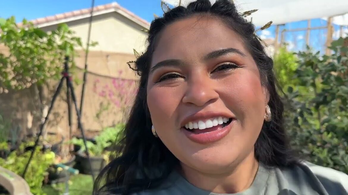 Proof That Small Backyard Vegetable Gardens Can Be Productive Too! (HOA Gardening) Proof That Small Backyard Vegetable Gardens Can Be Productive Too! (HOA Gardening)