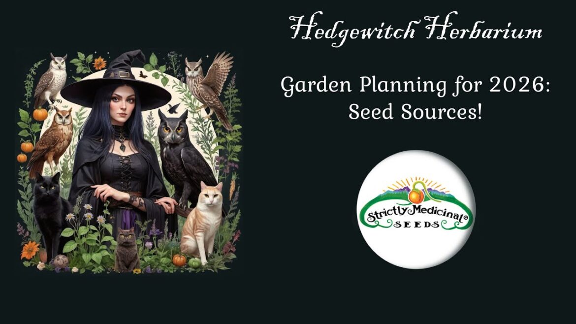 Sharing Seed Sources for My 2026 Garden Plans #gardening #herbal #seeds #herbgarden Sharing Seed Sources for My 2026 Garden Plans #gardening #herbal #seeds #herbgarden
