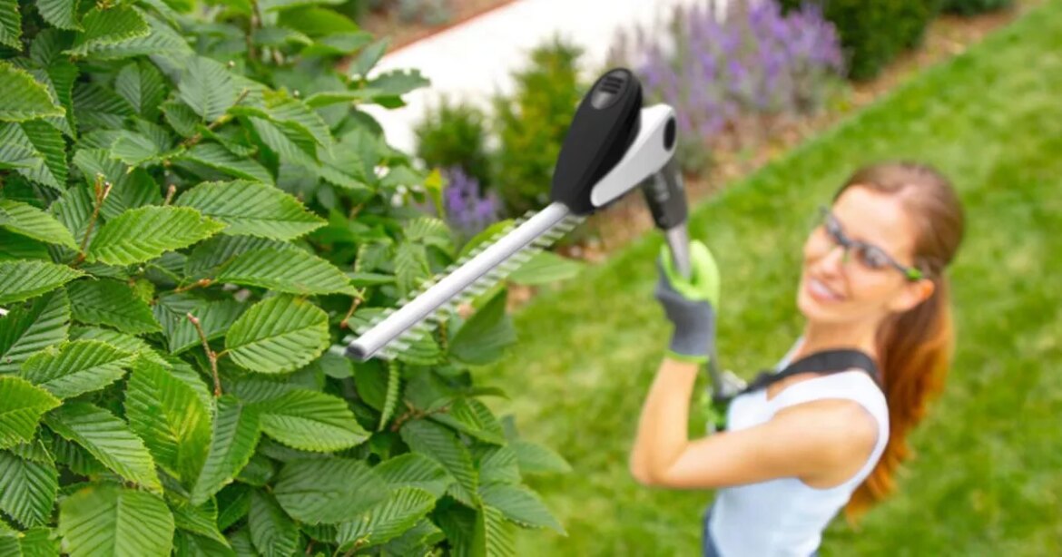 Gtech’s ‘super light’ cordless hedge trimmer is £70 off and makes gardening ‘effortless’ Ipso logo