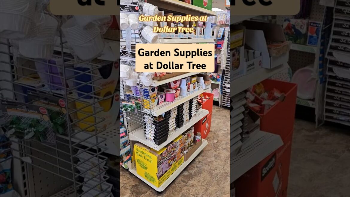 Garden Supplies at Dollar Tree #gardeningtips #budgetfriendly #frugalliving Garden Supplies at Dollar Tree #gardeningtips #budgetfriendly #frugalliving