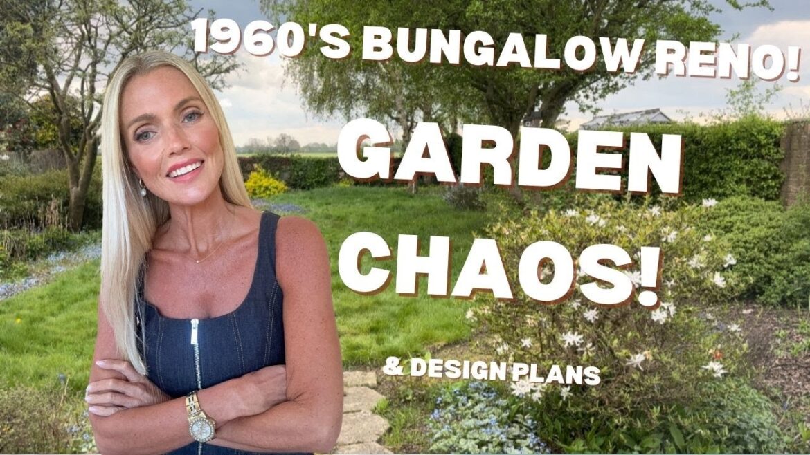 Garden Clear up and design plans for our 1960s Bungalow garden