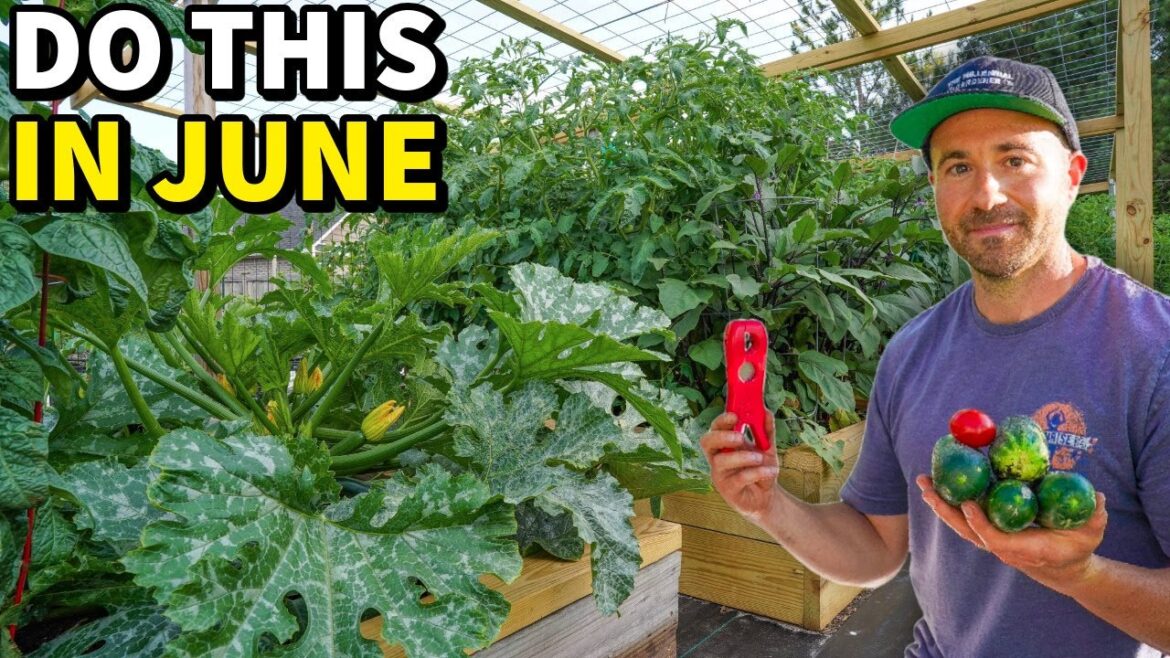 6 June Garden Tasks Every Gardener Must Do NOW!