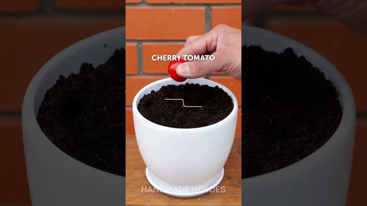 Take care of your plants with these unusual plants gardening hacks!