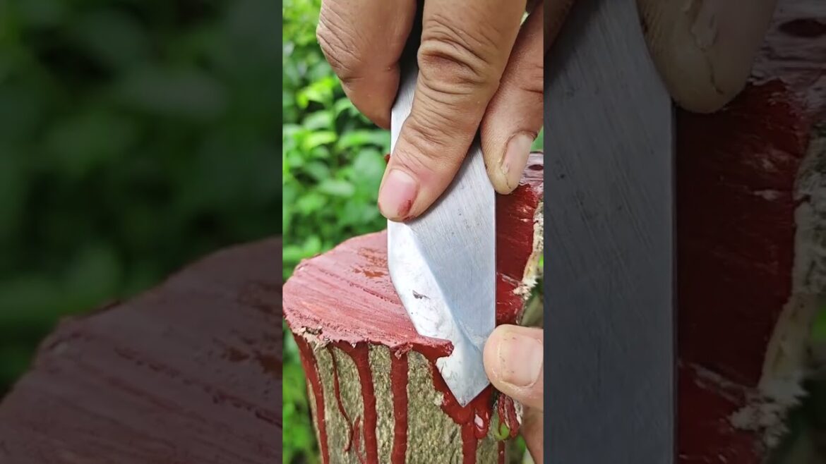 Want Grafting Success? Watch This Now #grafting #plants #garden #tree #mygarden #architecture #trees