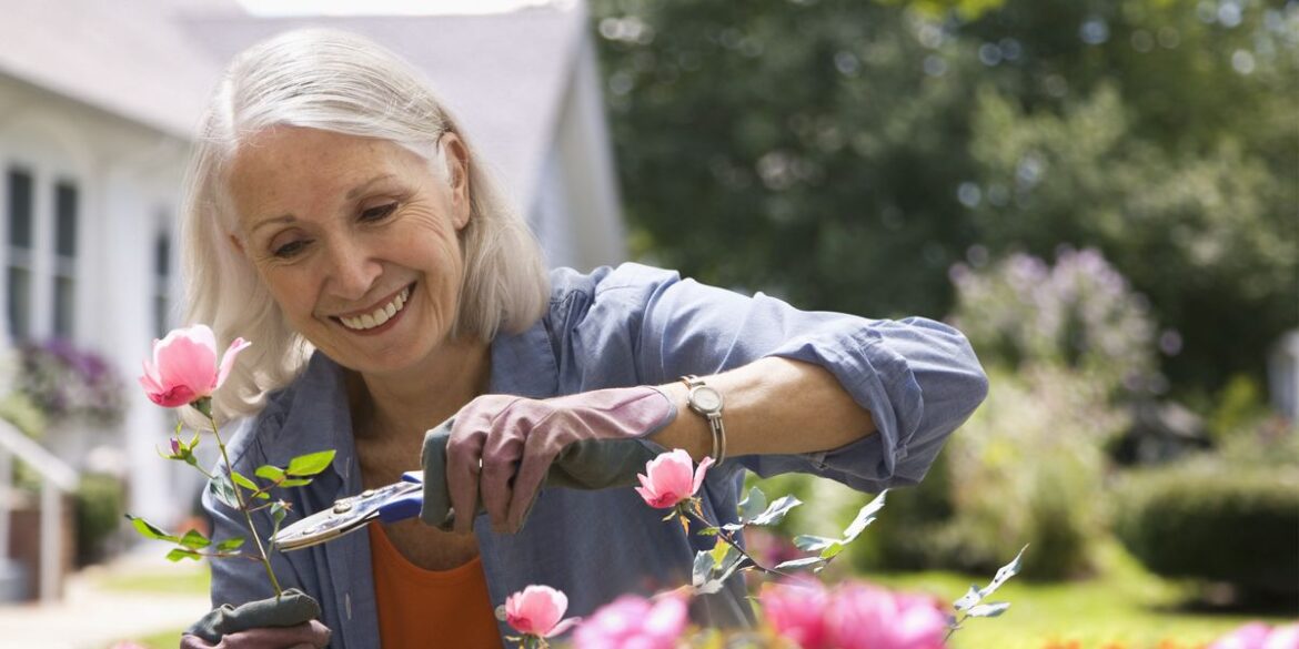 Gardener debunks popular garden myth said to promote plant growth
