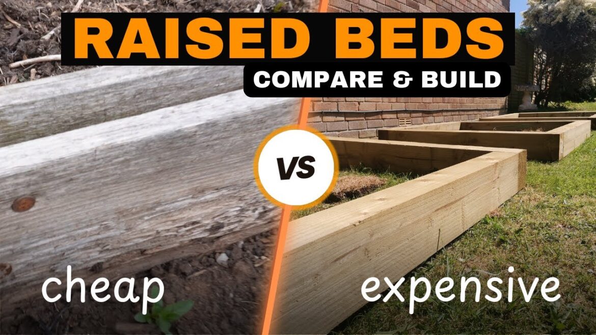Raised Beds! What”s Best for You? (DIY build) Raised Beds! What"s Best for You? (DIY build)