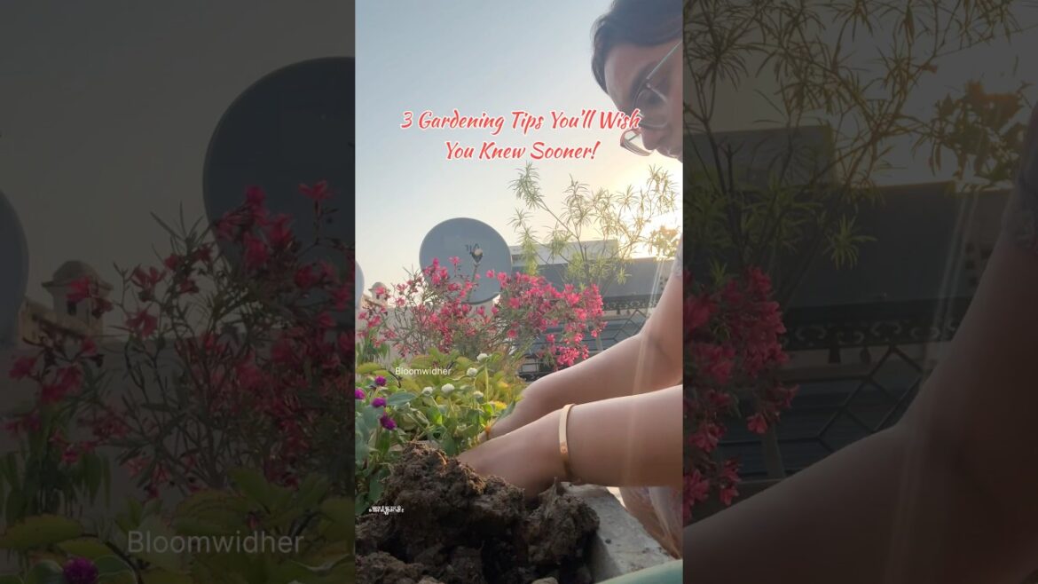 3 Gardening Tips Every Gardener Should Know! 🌱💡 #gardeningtips #gardening #shorts