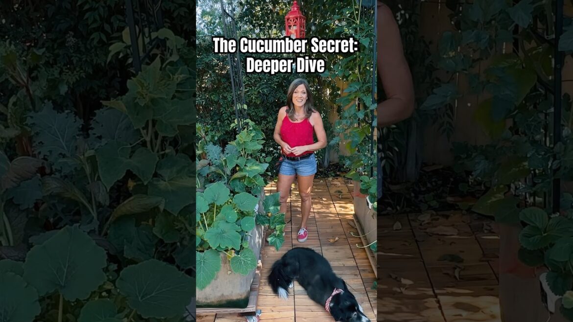 The Other Part Of The Cucumber Secret