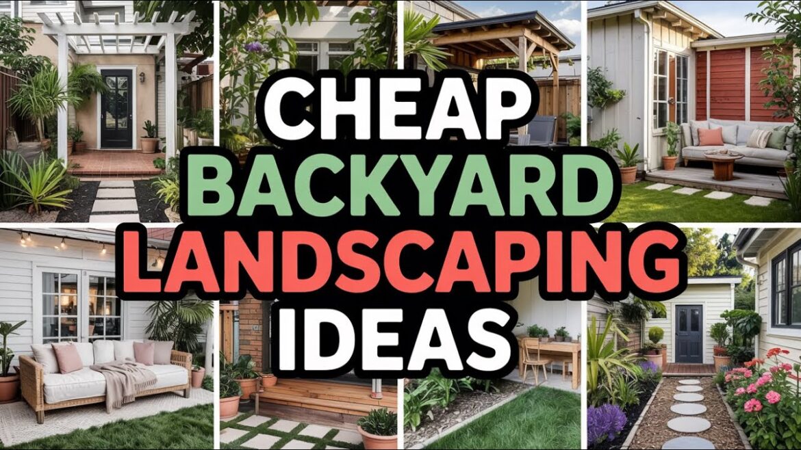 Genius Cheap Backyard Landscaping Ideas To Inspire You! Unlock Your Oasis