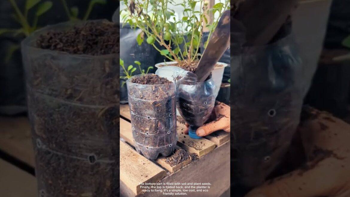 DIY Hanging Planter from Recycled Bottle
