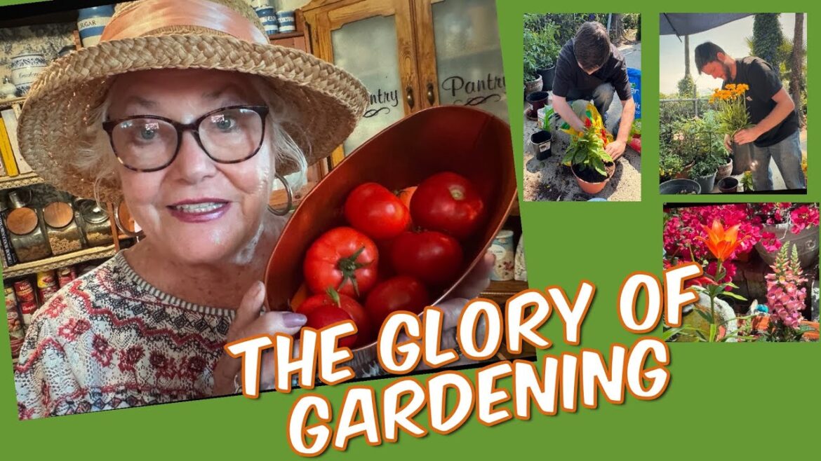 A Container Garden..No Weeds..Eat Tomatoes,Veggies and Herbs..Enjoy the Flowers..Feed Your Soul