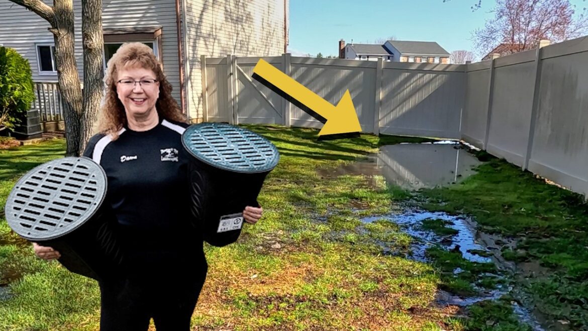 Standing water in the Backyard Resolved with a Yard Drain. Catch Basins, Grading to Leach Field Standing water in the Backyard Resolved with a Yard Drain. Catch Basins, Grading to Leach Field