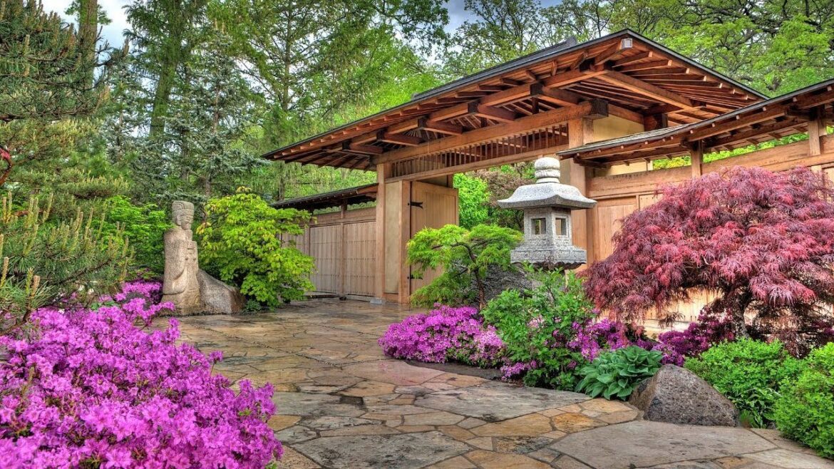 Anderson Japanese Gardens 2024 Year in Review