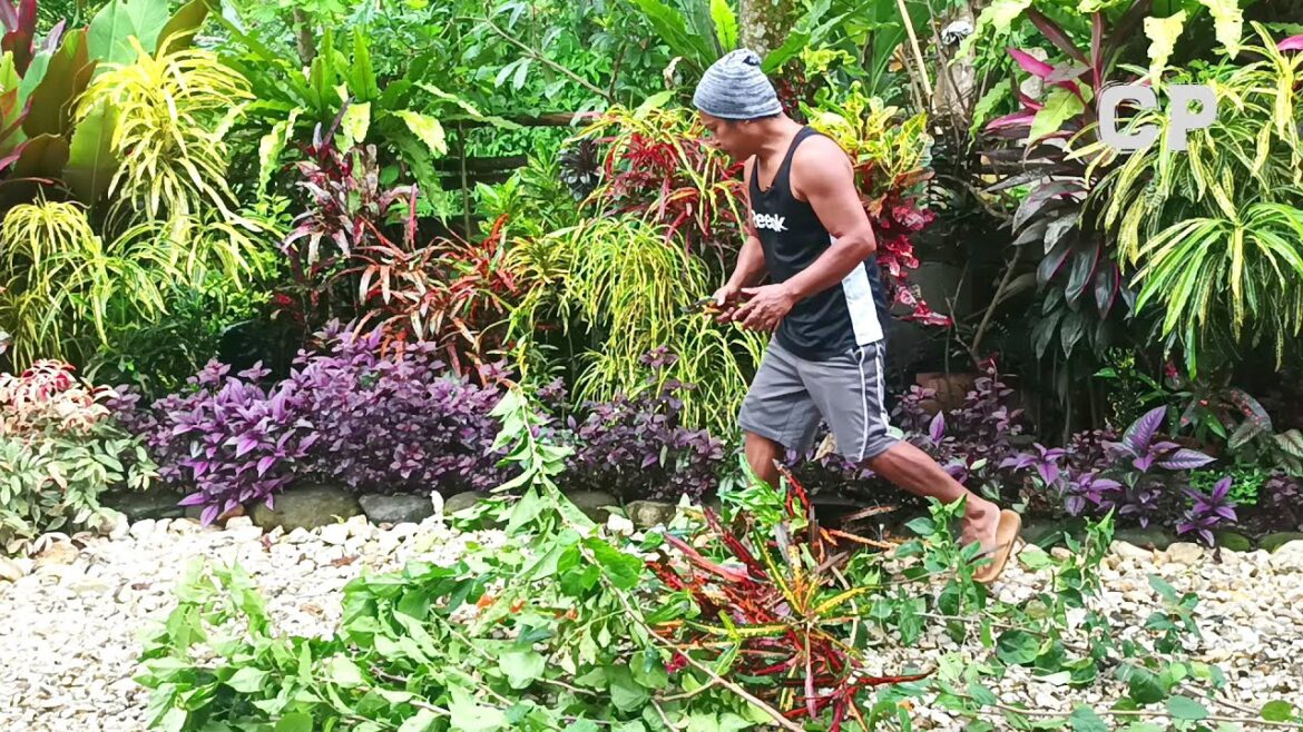MASSIVE FRONT YARD GARDEN TRANSFORMATION