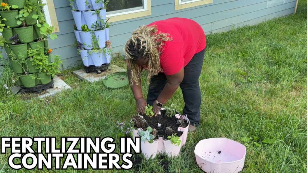 Container Gardening Must Haves and How to Fertilize Them