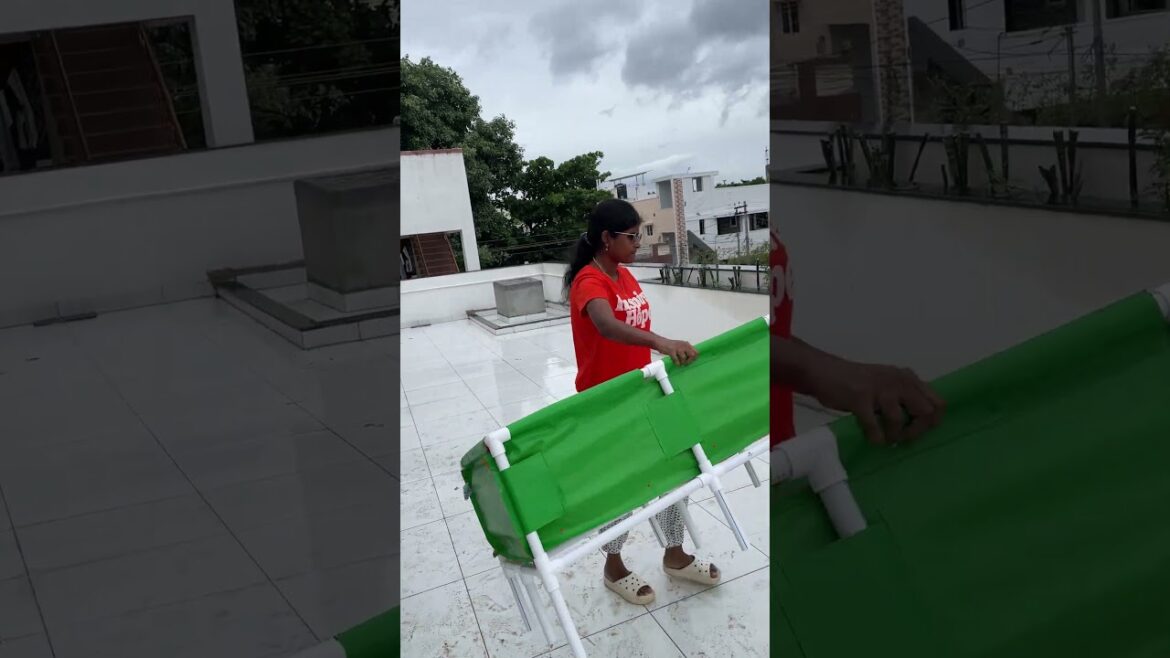 Terrace Gardening? Save Money with This!