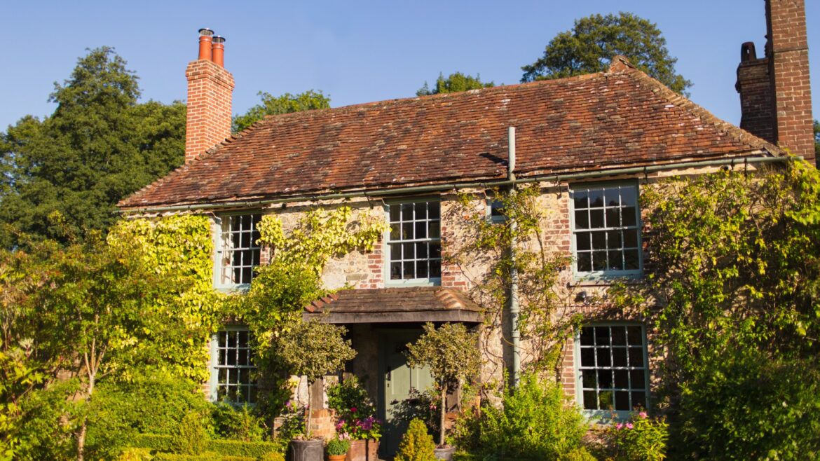 45p homemade solution gardeners swear by for killing ivy – it works in a couple of days & stops it growing back 45p homemade solution gardeners swear by for killing ivy - it works in a couple of days & stops it growing back