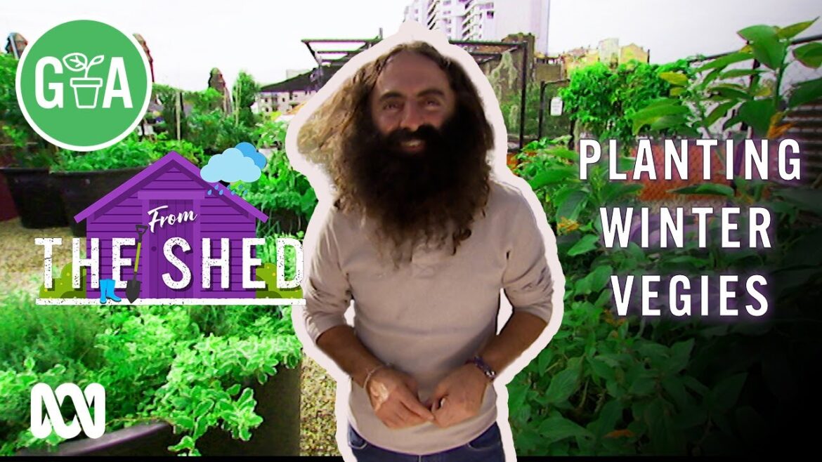 Planting Winter Vegies | From the Shed | Gardening Australia Planting Winter Vegies | From the Shed | Gardening Australia