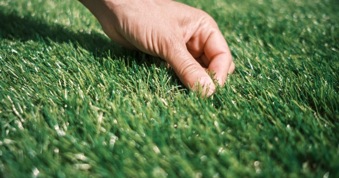 Gardeners ‘banned’ from installing artificial grass for two stark reasons Ipso logo